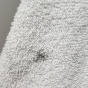 Knights Inn Mount Airy - Black makeup on bath towels - Hotels Near Me - Mount Airy, North Carolina Knights Inn Mount Airy - Black makeup on bath towels - Hotels Near Me - Mount Airy, North Carolina