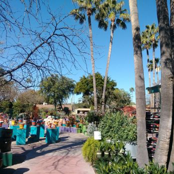 Harlow Gardens - Nurseries & Gardening Near Me - Tucson, Arizona