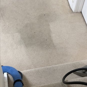 Albert's Carpet Cleaning - Pet stain from 1 year ago, completely removed it! - Carpet Cleaning Near Me - Takoma Park, Maryland Albert's Carpet Cleaning - Pet stain from 1 year ago, completely removed it! - Carpet Cleaning Near Me - Takoma Park, Maryland