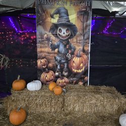 Acostas Pumpkin Patch and Christmas Trees - Acosta's Pumpkin Patch Oct 2025