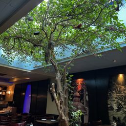 Main restaurant area, full of life