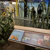 Choctaw Cultural Center gift card