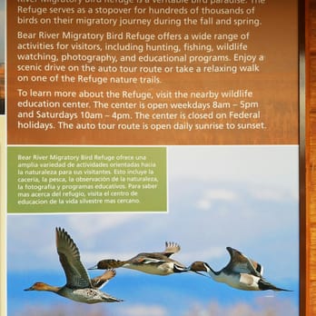 Bear River Migratory Bird Refuge - Parks Near Me - Brigham City, Utah