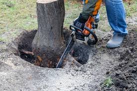 Green Doctor Landscaping & Lawncare - tree service in Wilmington, DE