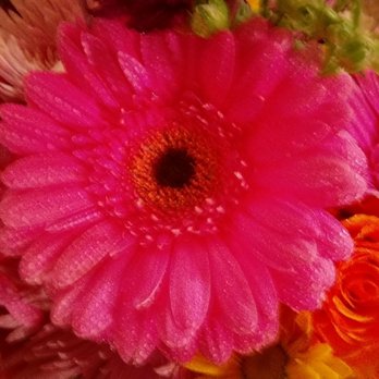 RC Flowers - Wow - Florists Near Me - Vista, California RC Flowers - Wow - Florists Near Me - Vista, California