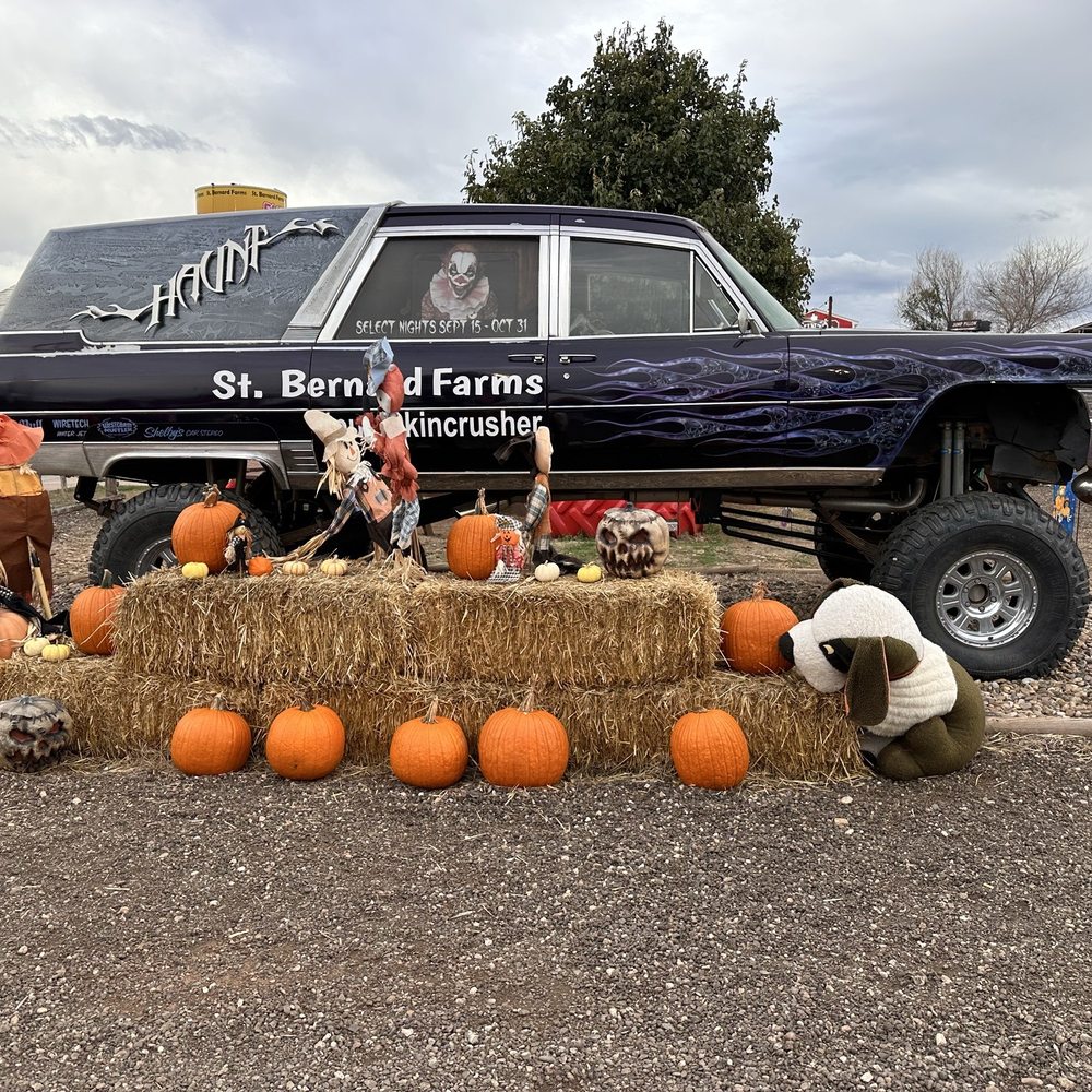 St Bernard Farms - 10.12.2025 - Pumpkin Patches Near Me - Clovis, New Mexico St Bernard Farms - 10.12.2025 - Pumpkin Patches Near Me - Clovis, New Mexico