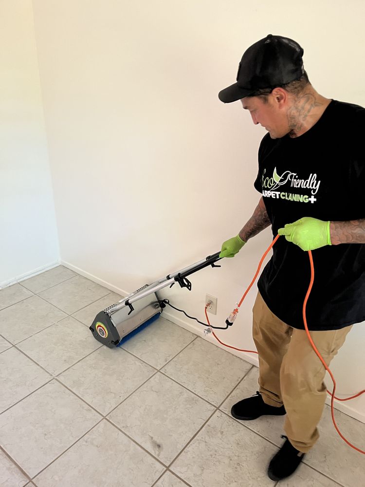 ECO FRIENDLY CARPET CLEANING PLUS Concord, California Carpet