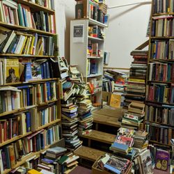 Phoenix Books