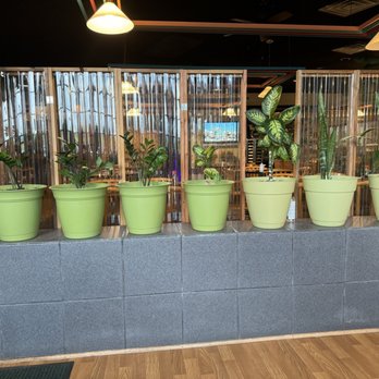Wakaba - Sushi Bars Near Me - Deerfield, Illinois