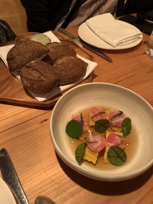 Seabird by null Seabird by null