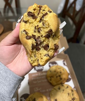 Choc Cookies by null