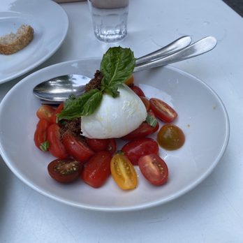 Terroni - Caprese Bufala - Italian Near Me - Toronto, Ontario Terroni - Caprese Bufala - Italian Near Me - Toronto, Ontario