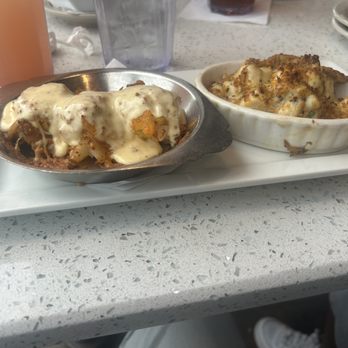 Prima Italian Kitchen - Today's Special: stuffed shrimp and crab cake all with delicious sauce - Salad Near Me - Valrico, Florida