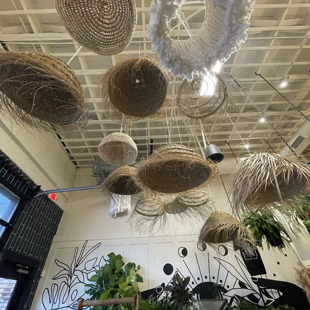 The Planting Hand - Interesting wicker and yarn chandeliers - Nurseries & Gardening Near Me - Dallas, Texas The Planting Hand - Interesting wicker and yarn chandeliers - Nurseries & Gardening Near Me - Dallas, Texas