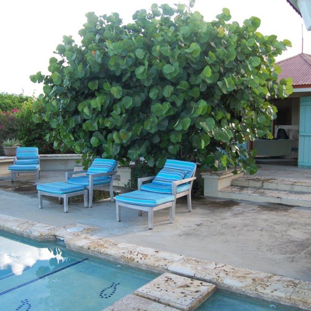 Los Bohios - View of the master bedroom bohio from the pool/central bohio. It has its own private patio and seating area. - Guest Houses Near Me - Puerto Real, Puerto Rico Los Bohios - View of the master bedroom bohio from the pool/central bohio. It has its own private patio and seating area. - Guest Houses Near Me - Puerto Real, Puerto Rico