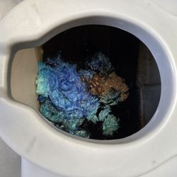 Pacific Pumping & Portables - Poop