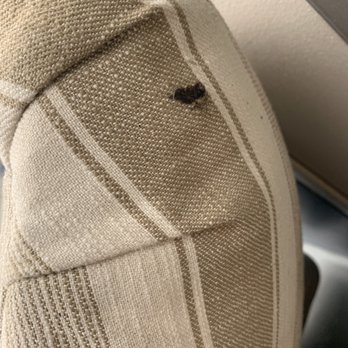 Allsafe Self Storage - Rat shit on my $1k  chair, I've had my stuff at this storage place for over a year and suddenly my unit has rats - Self Storage Near Me - Fremont, California