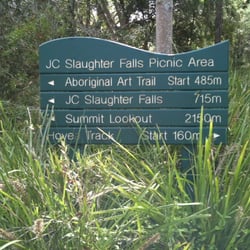 Summit Track at Mt Coot-tha - At the start of the walking track
