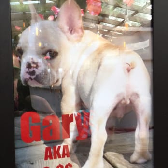 Homeslice - Gratuitous glamour shot of Gary on the wall. - Pizza Near Me - Chicago, Illinois