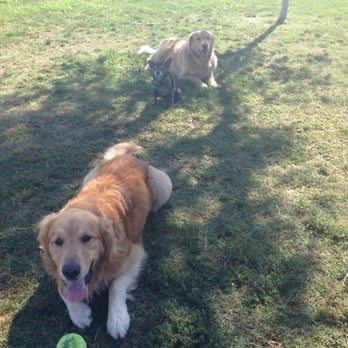 Redhawk Community Park - Home on the range! - Dog Parks Near Me - Temecula, California Redhawk Community Park - Home on the range! - Dog Parks Near Me - Temecula, California