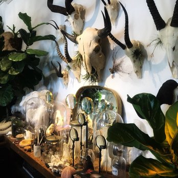 Seed To Stem - Antiques Near Me - Worcester, Massachusetts