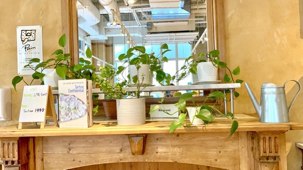 Le Pain Quotidien by null