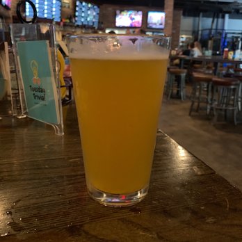 Bottlenose Brewing - Tagerine Golden Ale - Gastropubs Near Me - Jacksonville, Florida Bottlenose Brewing - Tagerine Golden Ale - Gastropubs Near Me - Jacksonville, Florida