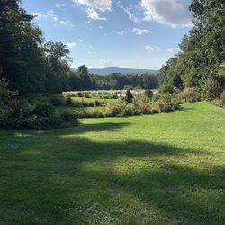 queen bee Vineyard - View from tasting