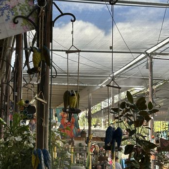 Green Thumb Nursery - Inside - Nurseries & Gardening Near Me - Canoga Park, California