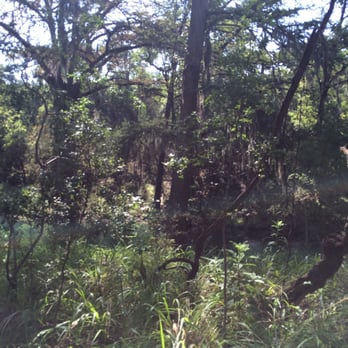 Guadalupe River State Park - Honey creek which flows into Guadalupe - Parks Near Me - Spring Branch, Texas Guadalupe River State Park - Honey creek which flows into Guadalupe - Parks Near Me - Spring Branch, Texas
