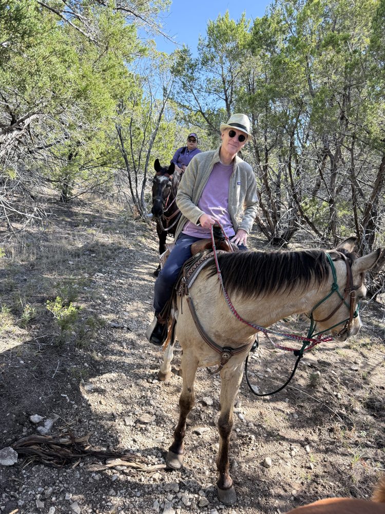Eagle Eye Ranch Carriage Company Logo