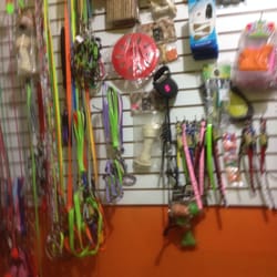 Clinica Veterinaria Cedros