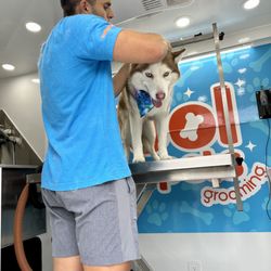 Cool Pets Grooming