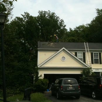 Maryland Tree - Tree Services Near Me - Adelphi, Maryland