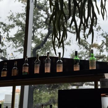 The Lymbar - Bar - Cocktail Bars Near Me - Houston, Texas The Lymbar - Bar - Cocktail Bars Near Me - Houston, Texas