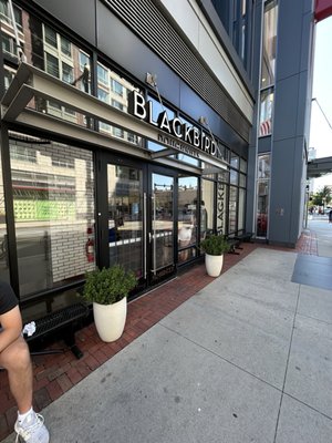 Blackbird Doughnuts Fenway by null