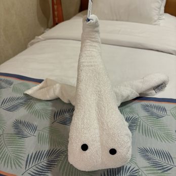 Carnival Elation - Idek what towel animal this js - Tours Near Me