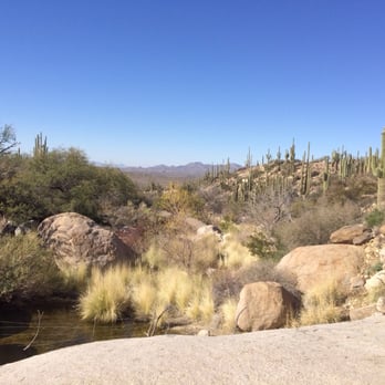 Catalina State Park - Great hiking - Parks Near Me - Tucson, Arizona Catalina State Park - Great hiking - Parks Near Me - Tucson, Arizona