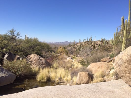 Catalina State Park by null