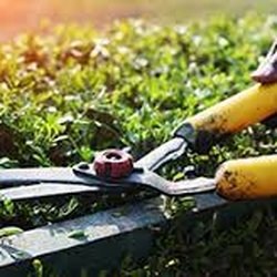 Edwards Edge Lawn Care