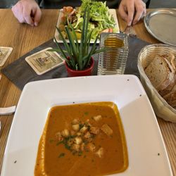 Münsterhof - The tomato soup and salad