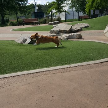 Patterson Dog Park - Dog Parks Near Me - Baltimore, Maryland