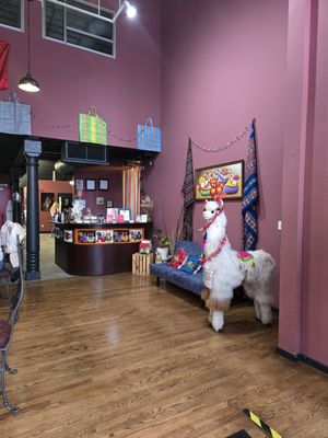 Señor Carbón Peruvian Cuisine by null