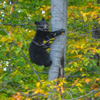 Killbear Provincial Park - Hold on tight! Early morning, Oct.18/19 - Parks Near Me - Nobel, Ontario