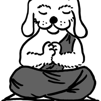 Doggie Dharma - Dog Walkers Near Me