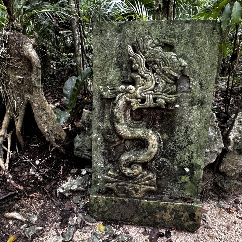 Azul Cenote - Hiking Near Me - Playa del Carmen, ROO