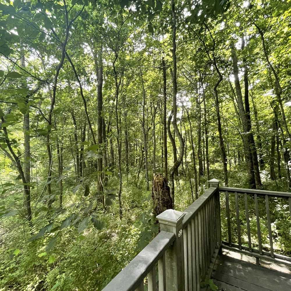 Radnor Lake State Park - Parks Near Me - Nashville, Tennessee Radnor Lake State Park - Parks Near Me - Nashville, Tennessee