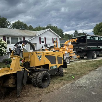 Luca Tree Service - Tree Services Near Me - Peabody, Massachusetts Luca Tree Service - Tree Services Near Me - Peabody, Massachusetts