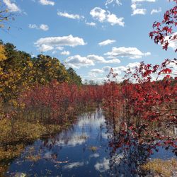 Black Run Preserve - No filter.