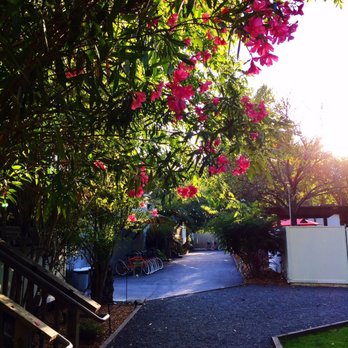 boon hotel + spa - Walking from the tents towards the front of the property - Hotels Near Me - Guerneville, California